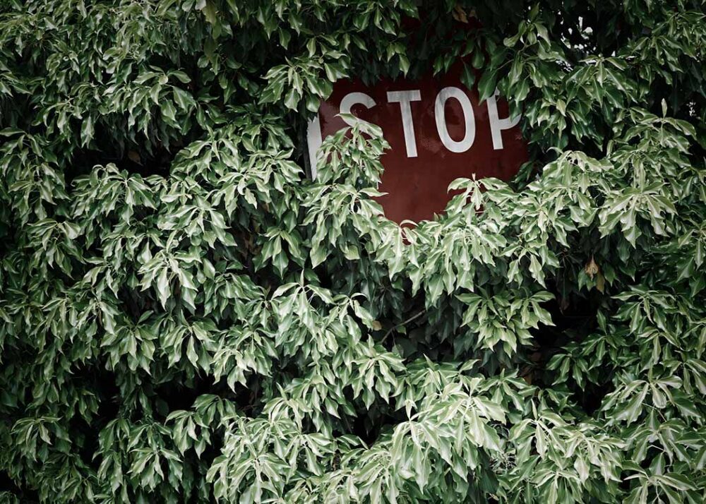 Stille Rebellion – 07342