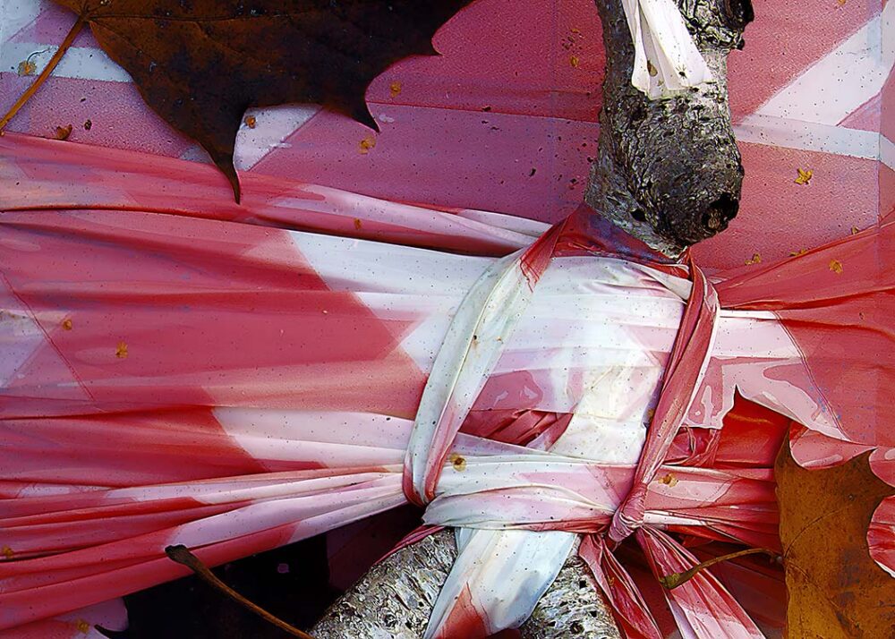 warrior – betula0998