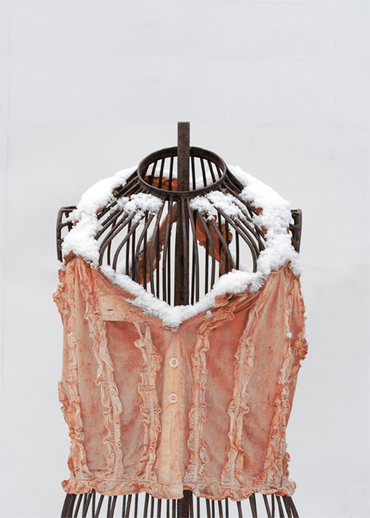 elementarer stoffwechsel09549